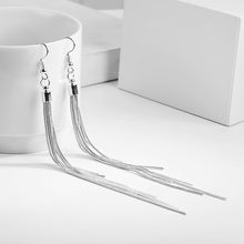 Load image into Gallery viewer, Metal Tassel Earrings